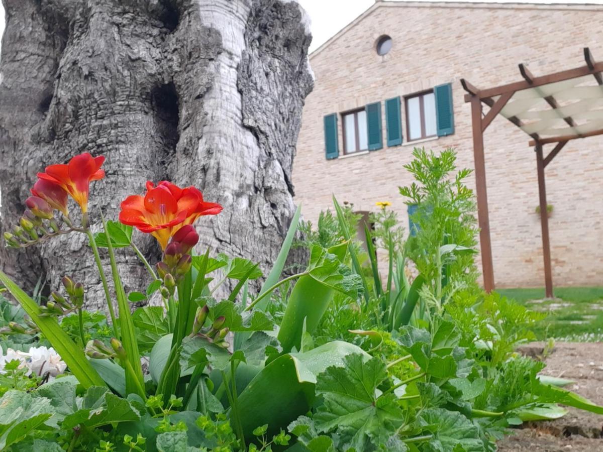 포르토레카나티 Casale Del Conero 아파트 호텔 외부 사진